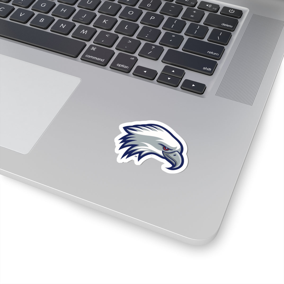 NTCC Eagle Sticker